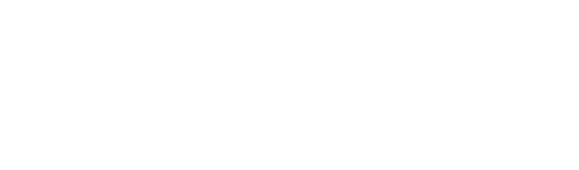 light logo